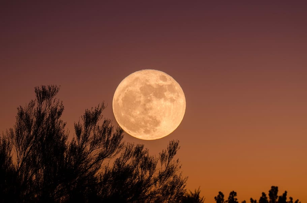 باللون البرتقالي.. القمر العملاق يظهر غداً في سماء المملكة